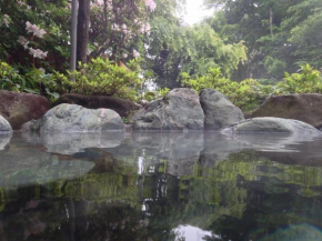 HOTSPRING HOUSE IN KOWAKUDANI - Vacation STAY 14262v